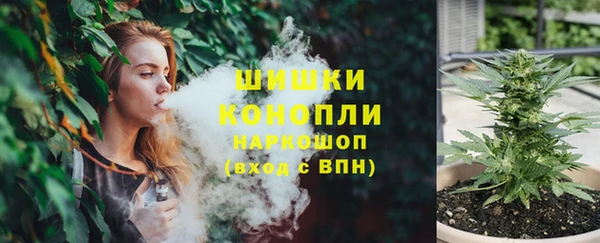 дживик Туринск