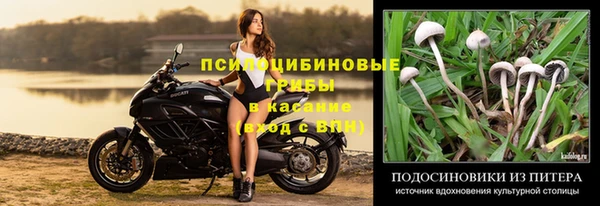 винт Белоозёрский